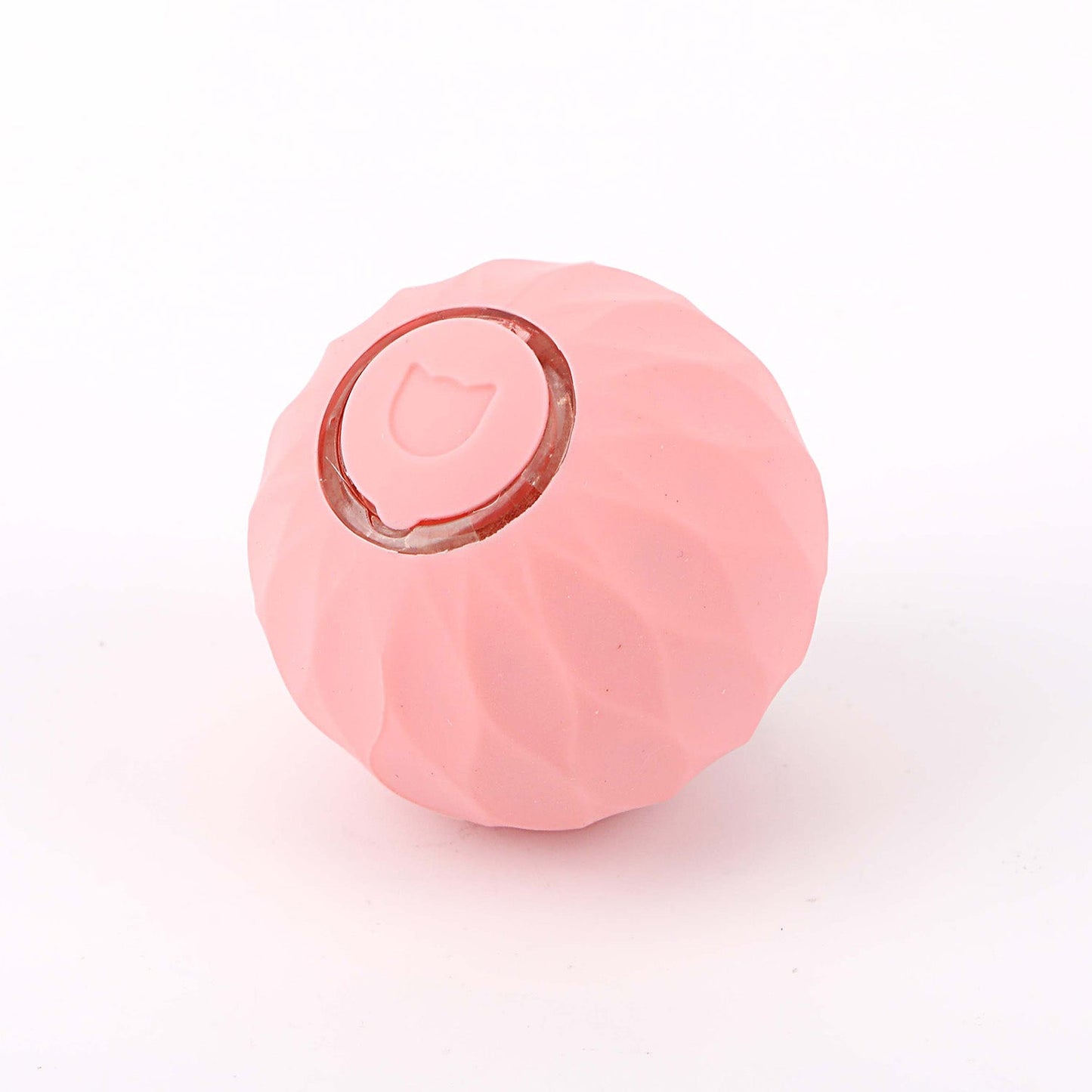 No dejes que tu gato se sienta solo cuando no estás