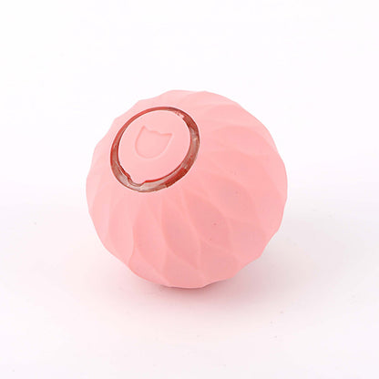 No dejes que tu gato se sienta solo cuando no estás